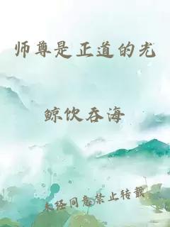 师尊是正道的光