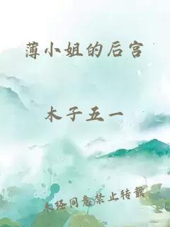 薄小姐的后宫