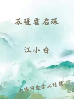 苏暖霍启琛