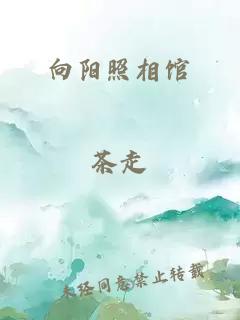 向阳照相馆