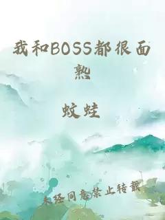 我和BOSS都很面熟