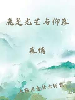 鹿是光芒与仰慕